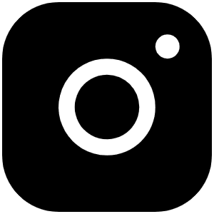 Instagram Logo Fill Icon from Phosphor Fill Set
