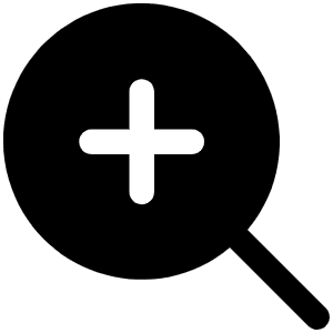 Magnifying Glass Plus Fill Icon from Phosphor Fill Set