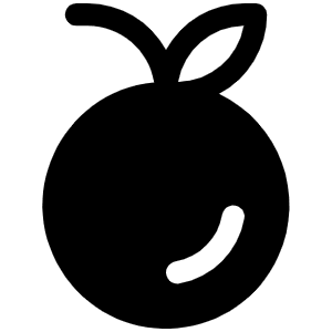 Orange Fill Icon from Phosphor Fill Set