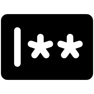 Password Fill Icon from Phosphor Fill Set