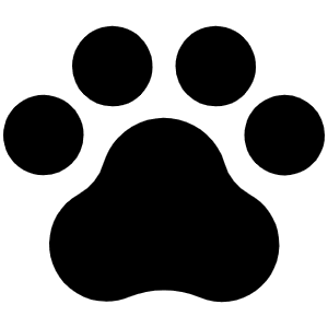 Paw Print Fill Icon from Phosphor Fill Set