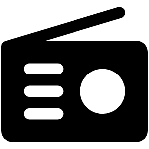 Radio Fill Icon from Phosphor Fill Set