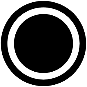 Record Fill Icon from Phosphor Fill Set