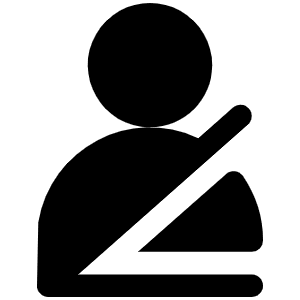 Seatbelt Fill Icon from Phosphor Fill Set