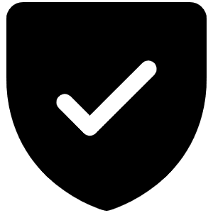Shield Check Fill Icon from Phosphor Fill Set