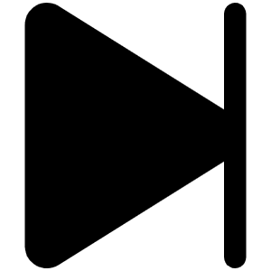 Skip Forward Fill Icon from Phosphor Fill Set