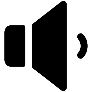 Speaker Low Fill Icon from Phosphor Fill Set