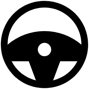 Steering Wheel Fill Icon from Phosphor Fill Set