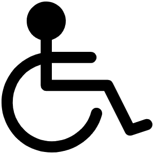 Wheelchair Fill Icon from Phosphor Fill Set
