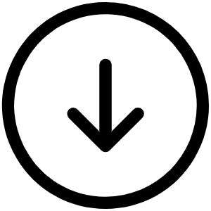 Arrow Circle Down Light Icon from Phosphor Light Set