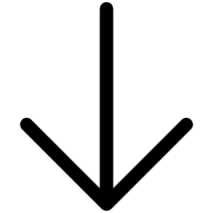 Arrow Down Light Icon from Phosphor Light Set