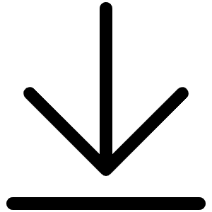 Arrow Line Down Light Icon from Phosphor Light Set