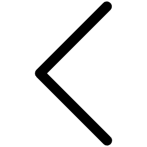 Caret Left Light Icon from Phosphor Light Set