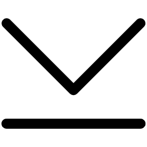 Caret Line Down Light Icon from Phosphor Light Set