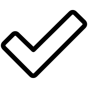 Check Fat Light Icon from Phosphor Light Set