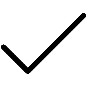 Check Light Icon from Phosphor Light Set