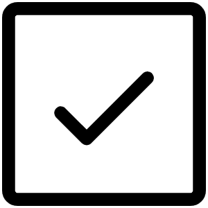 Check Square Light Icon from Phosphor Light Set