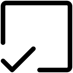 Check Square Offset Light Icon from Phosphor Light Set