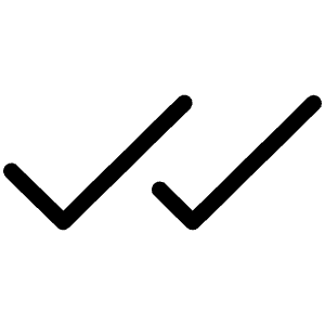 Checks Light Icon from Phosphor Light Set