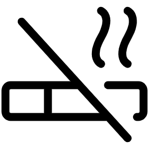 Cigarette Slash Light Icon from Phosphor Light Set