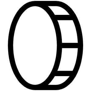 Coin Vertical Light Icon from Phosphor Light Set