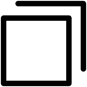 Copy Simple Light Icon from Phosphor Light Set