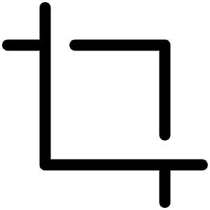 Crop Light Icon from Phosphor Light Set