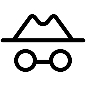 Detective Light Icon from Phosphor Light Set