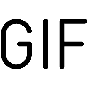 Gif Light Icon from Phosphor Light Set