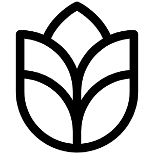 Grains Light Icon from Phosphor Light Set