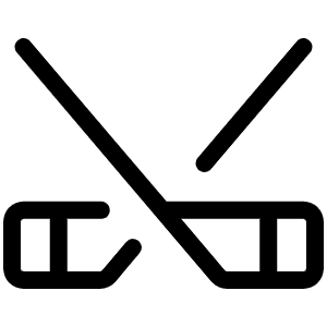 Hockey Light Icon from Phosphor Light Set