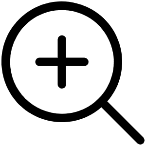 Magnifying Glass Plus Light Icon from Phosphor Light Set
