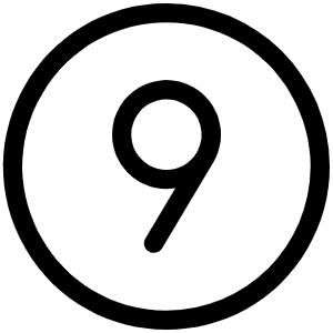 Number Circle Nine Light Icon from Phosphor Light Set