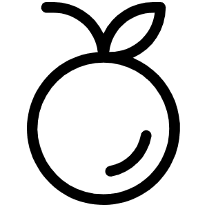 Orange Light Icon from Phosphor Light Set
