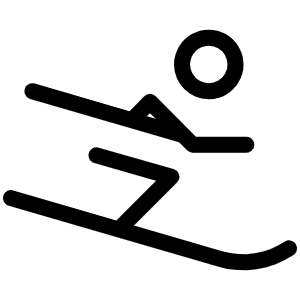 Person Simple Ski Light Icon from Phosphor Light Set