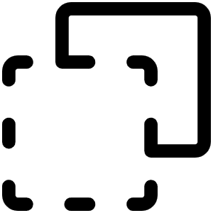 Selection Foreground Light Icon from Phosphor Light Set