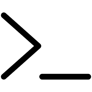 Terminal Light Icon from Phosphor Light Set