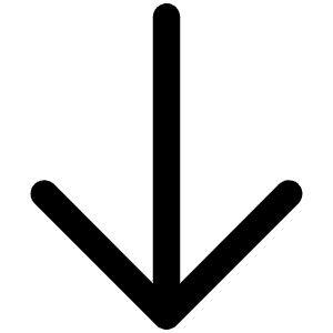 Arrow Down Icon from Phosphor Regular Set