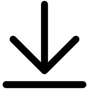 Arrow Line Down Icon from Phosphor Regular Set