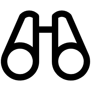 Binoculars Icon from Phosphor Regular Set