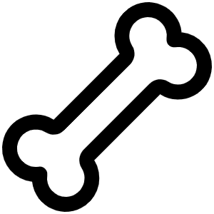 Bone Icon from Phosphor Regular Set