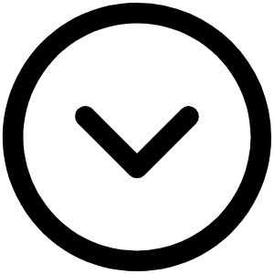 Caret Circle Down Icon from Phosphor Regular Set