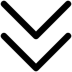 Caret Double Down Icon from Phosphor Regular Set