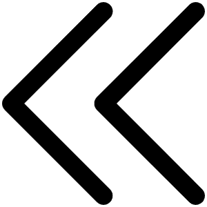 Caret Double Left Icon from Phosphor Regular Set