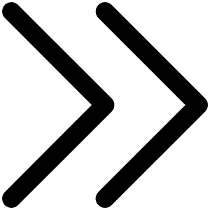 Caret Double Right Icon from Phosphor Regular Set