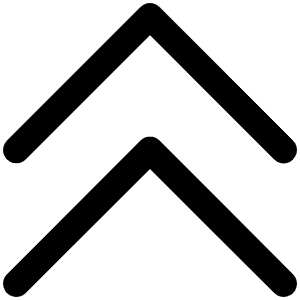 Caret Double Up Icon from Phosphor Regular Set