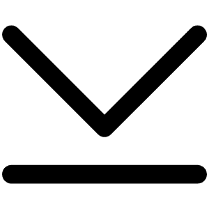 Caret Line Down Icon from Phosphor Regular Set