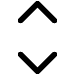 Caret Up Down Icon from Phosphor Regular Set