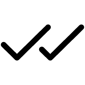 Checks Icon from Phosphor Regular Set