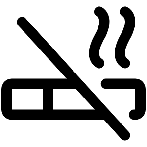 Cigarette Slash Icon from Phosphor Regular Set